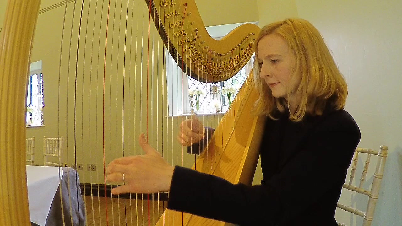 The Gloucestershire Harpist - Angharad James Video